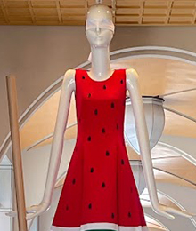 価格もスイカも「割ったもん勝ち!」 スイカ割りナナちゃんの写真