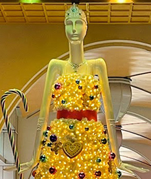 Christmasナナちゃんの写真