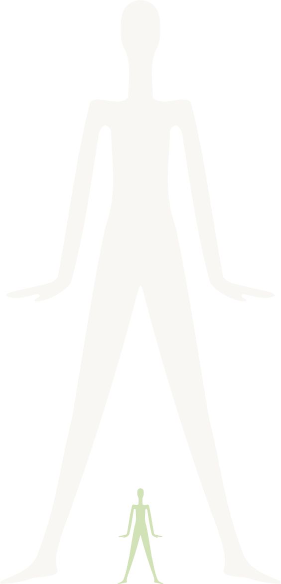 ミナちゃんイメージ